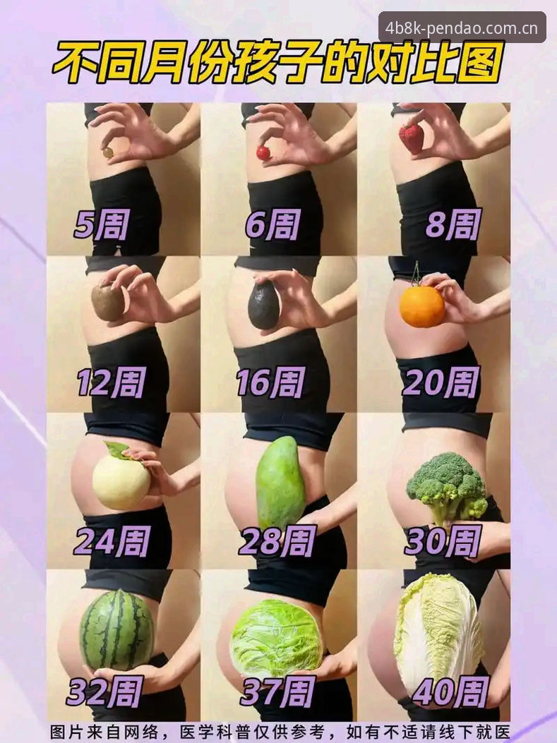 5个维度深度剖析半岛直播平台对比，助你选出最适合的体育观赛利器